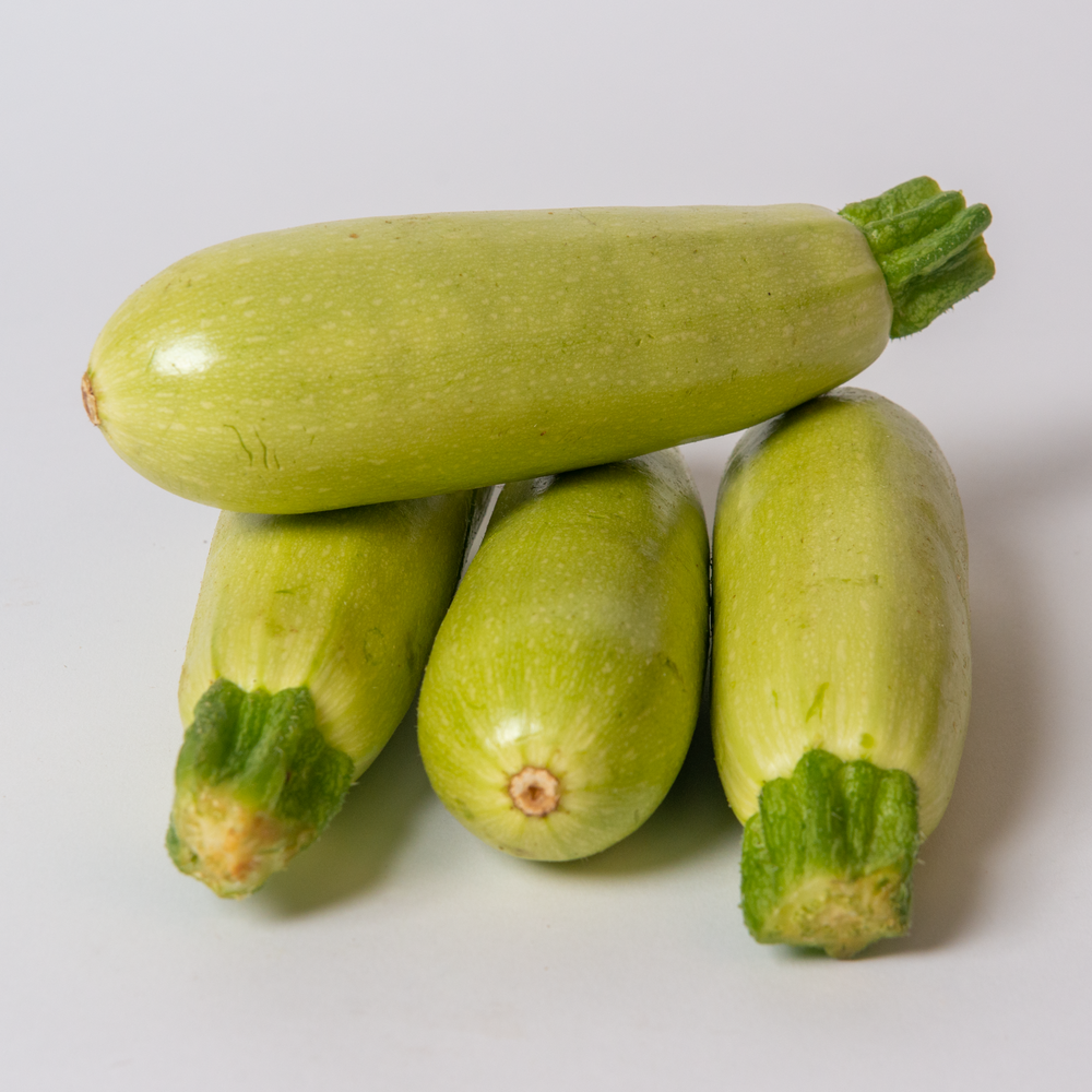 Courgette blanche