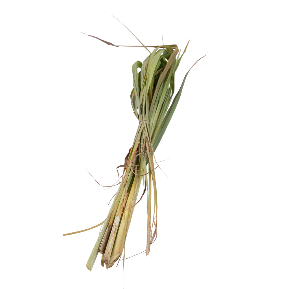 Citronelle Fraiche de Martinique
