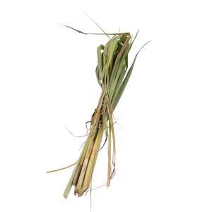 Citronelle Fraiche de Martinique