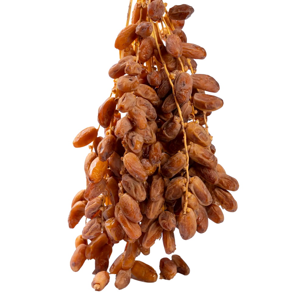 Dattes Deglet Nour Sans conservateurs