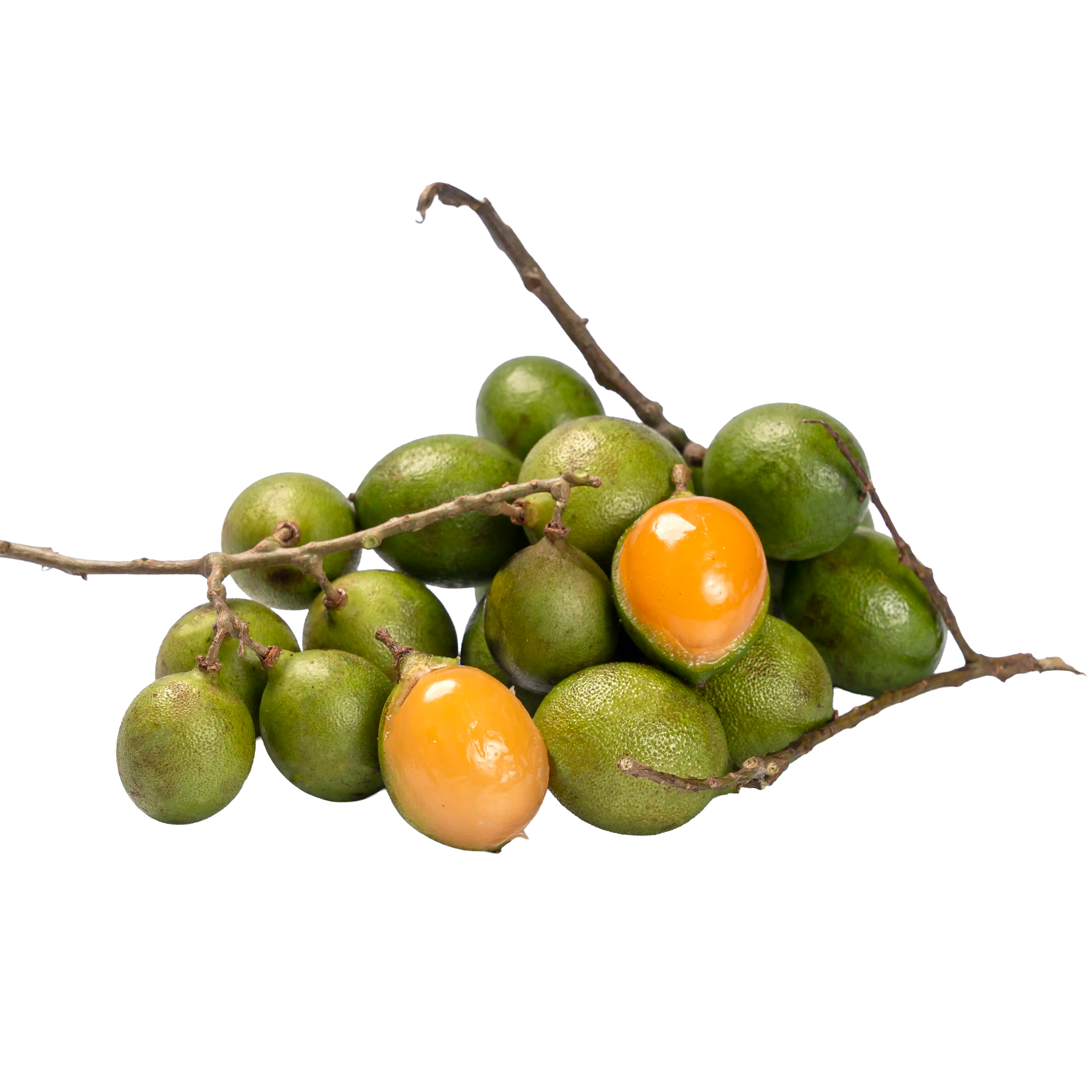 Quenettes de Guadeloupe en grappe, petits fruits verts à coque fine, aussi appelés mamoncillos