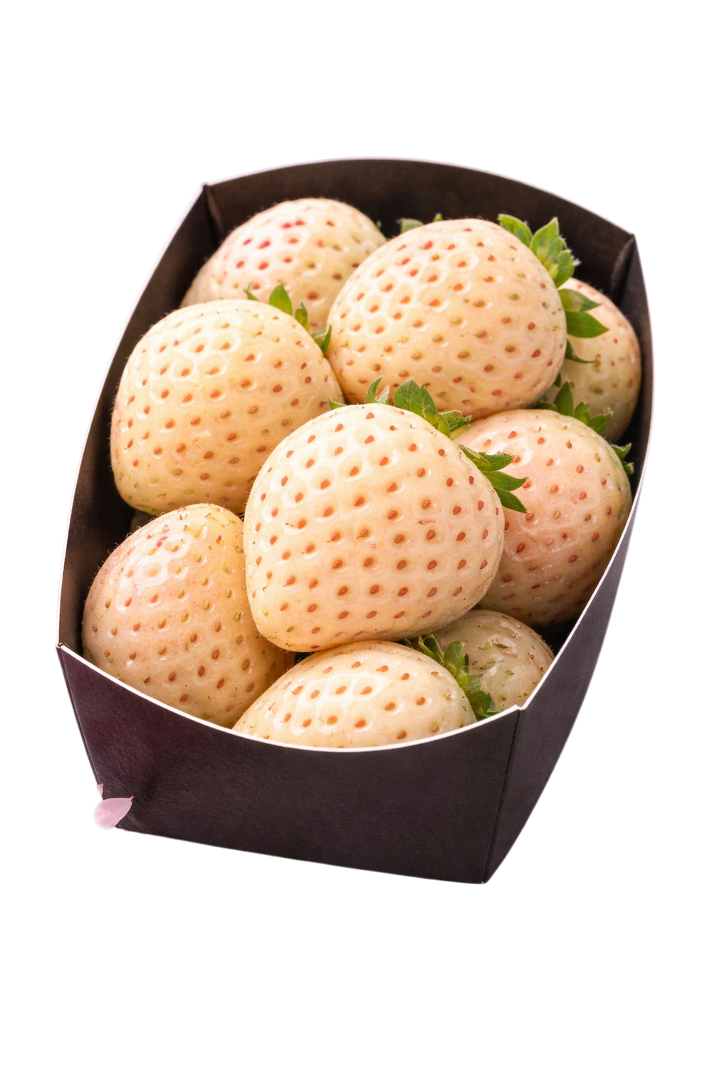 Fraise Blanche 100g (camion frigorifique)