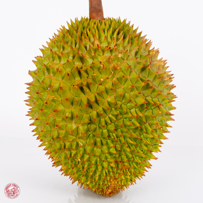 Mini Durian