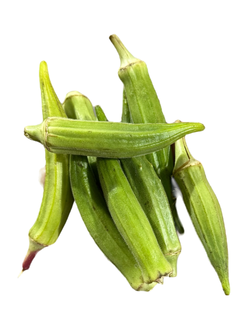 Gombo Frais
