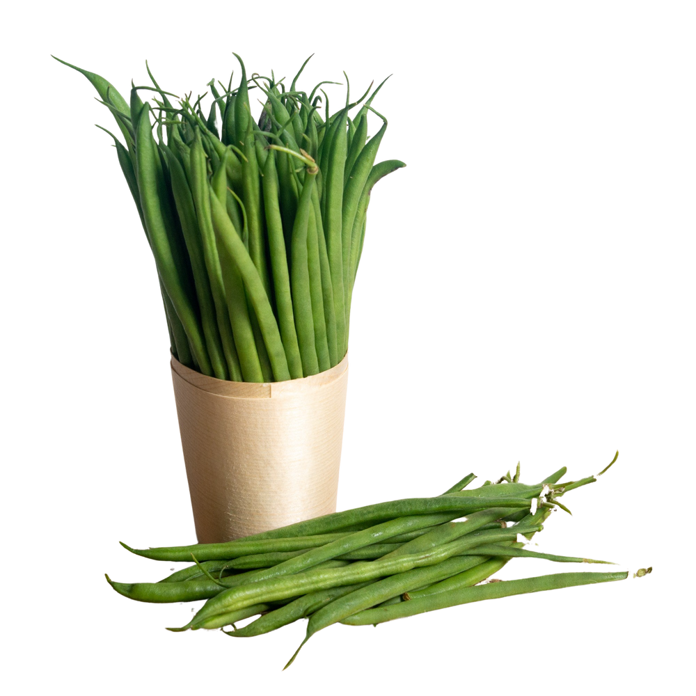 Haricot vert extra fin