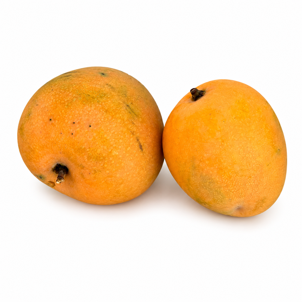 Mangue Alfonso d'Indonésie — chair fondante et sans fibres, parfum floral