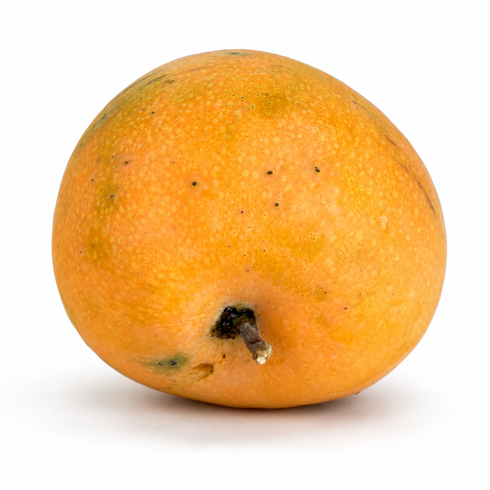 Mangue Alfonso d'Indonésie — vendue au poids, en 500 g ou 1 kg