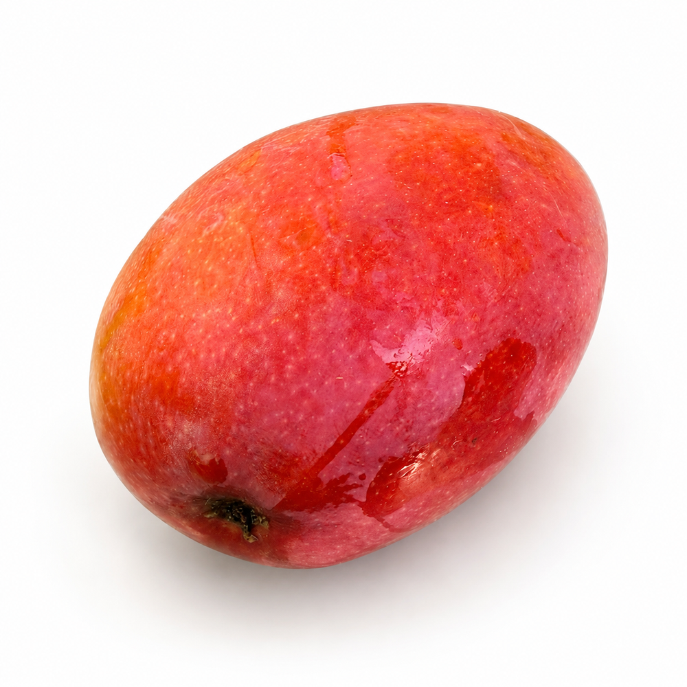 Mangue Irwin d'Espagne cueillie à maturité, chair fondante sans fibres