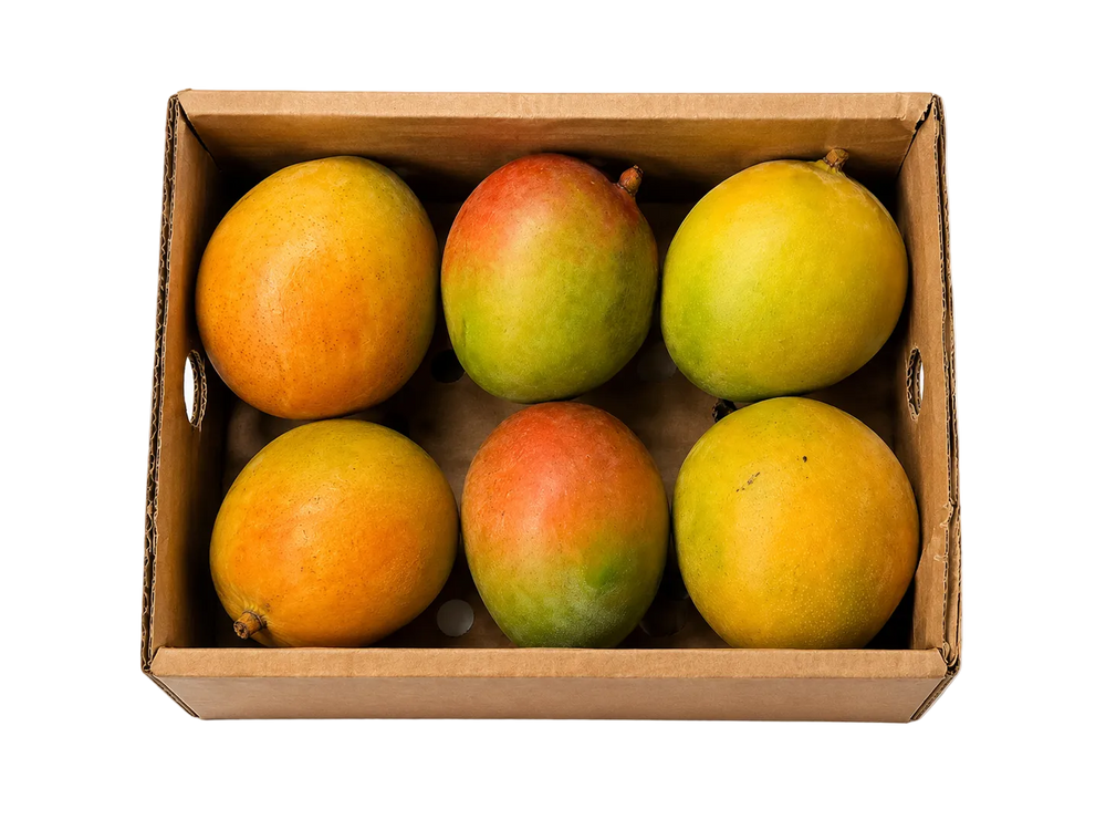 Mangue Keitt de République Dominicaine, grosse mangue verte à chair sans fibres, colis de 1,8 kg Croissy Fruits