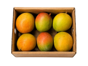 Mangue Keitt de République Dominicaine, grosse mangue verte à chair sans fibres, colis de 1,8 kg Croissy Fruits