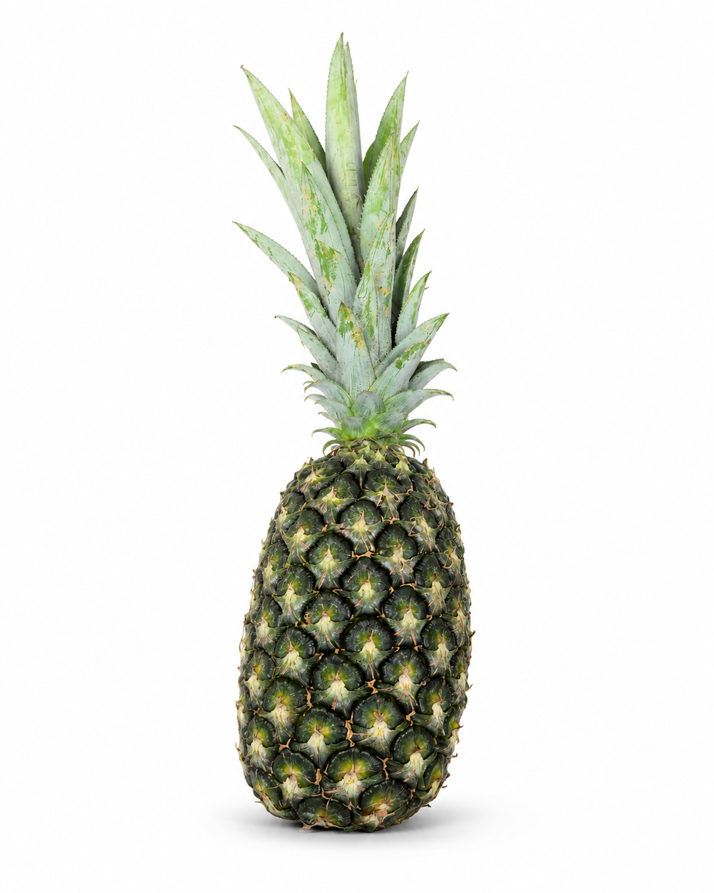 Ananas anbacassi de Guadeloupe