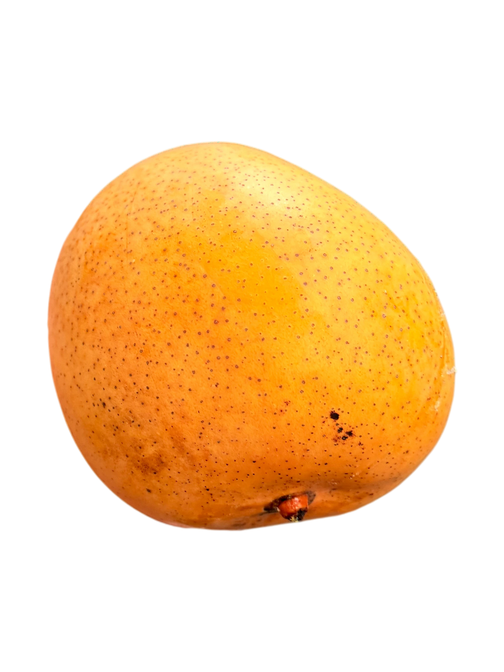 Mangue R2E2