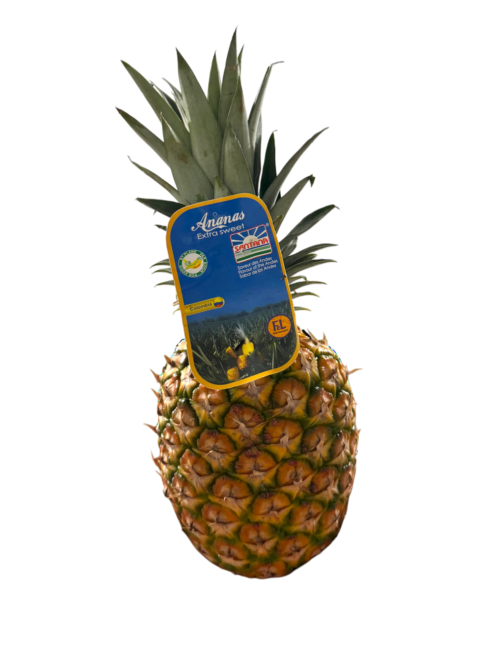 Ananas extra sweet premium avion