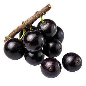 Jaboticaba (TRANSPORT FRIGORIFIQUE)