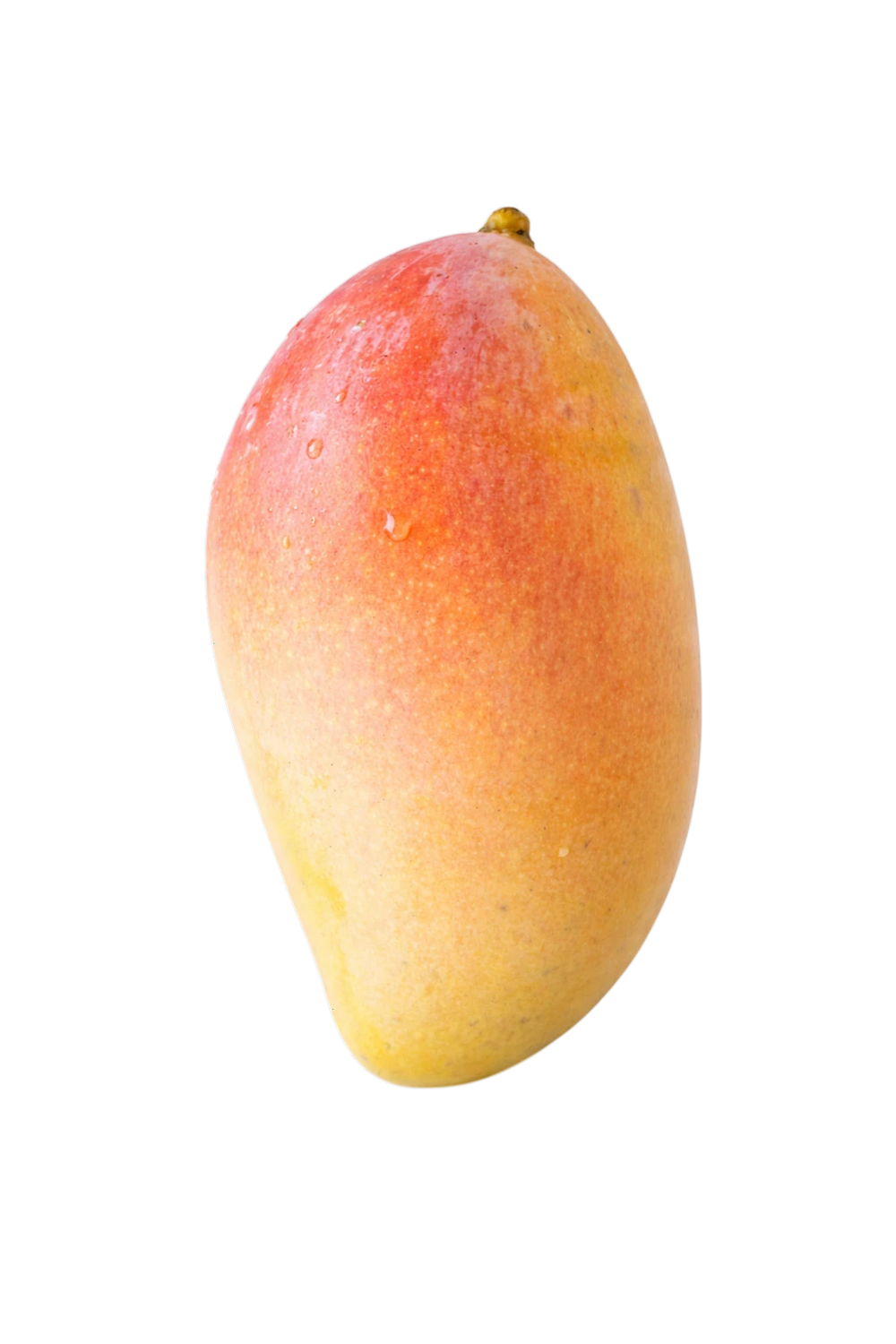 Mangue arc en ciel