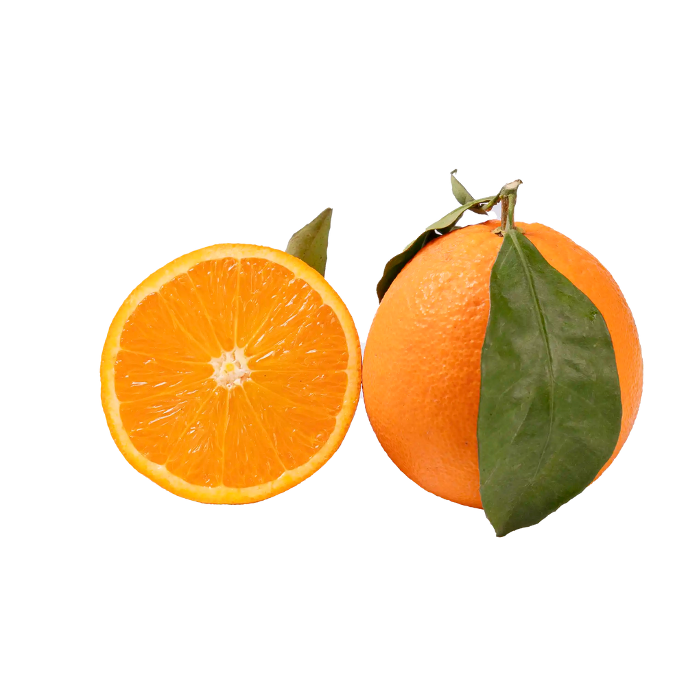 Orange feuille d'Italie (saison terminée)