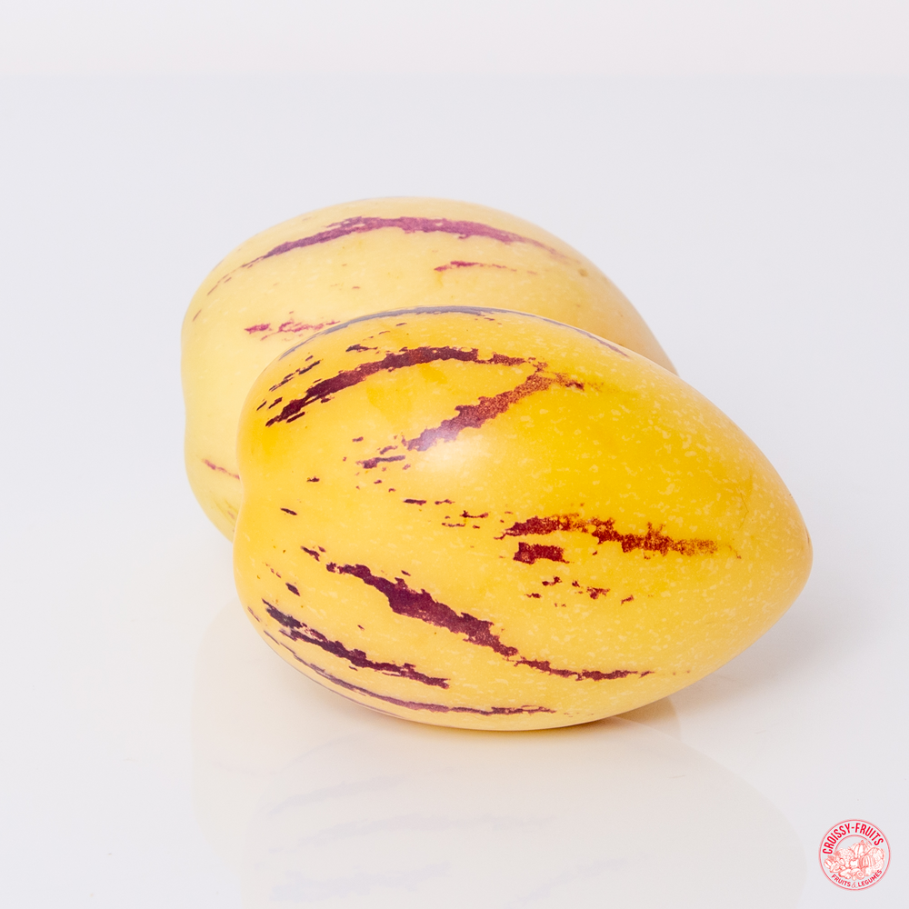 Pepino melon