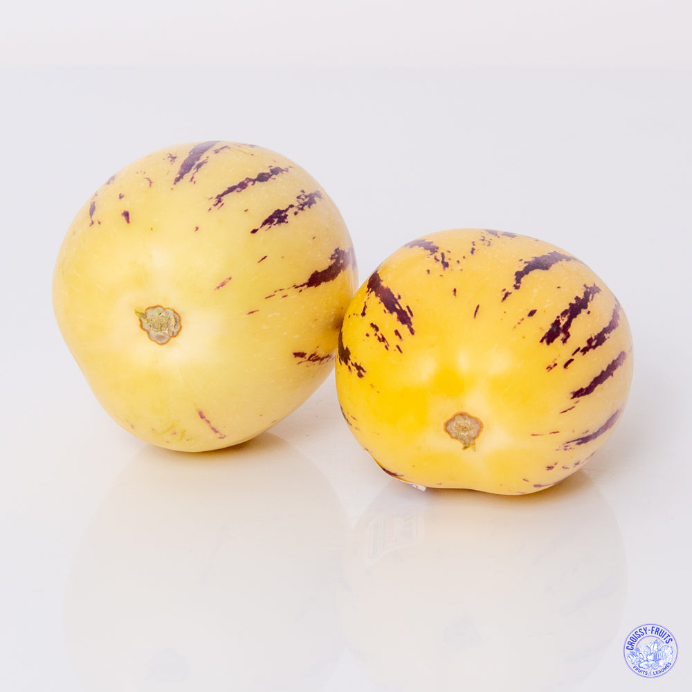 Pepino melon