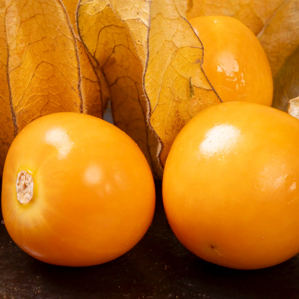 Physalis 100 gr