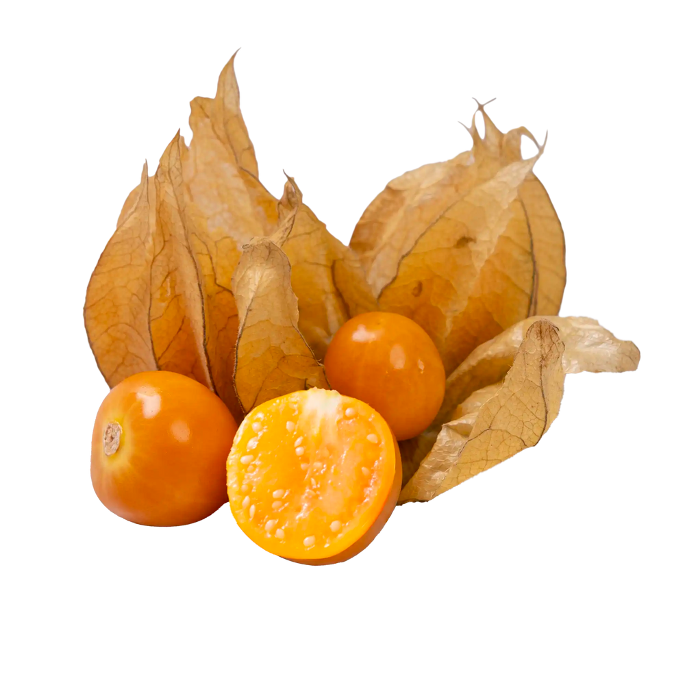 Physalis 100 gr