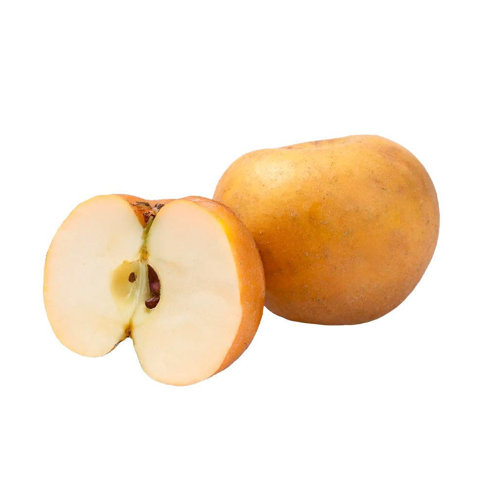Poire coréenne "singo"