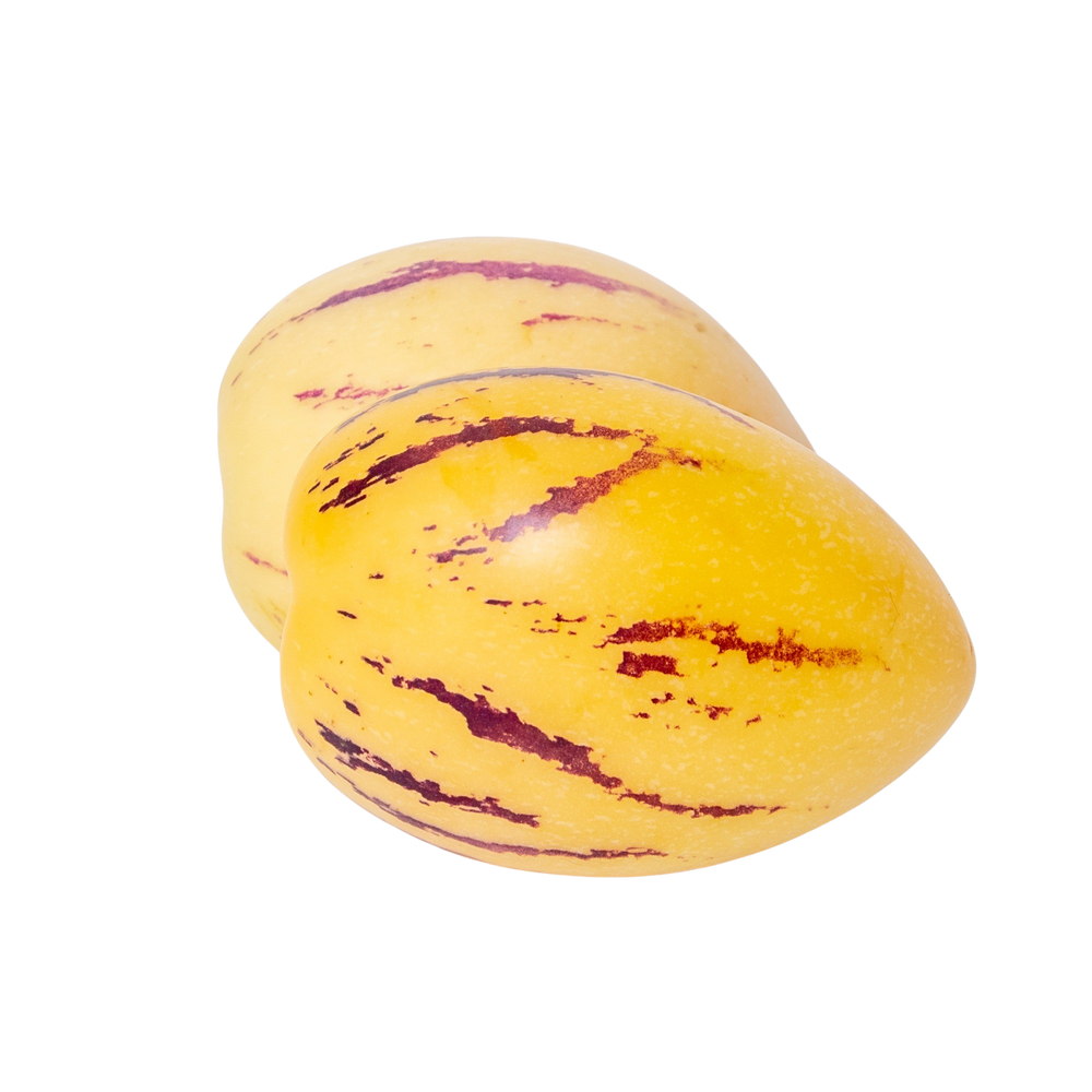 Pepino melon