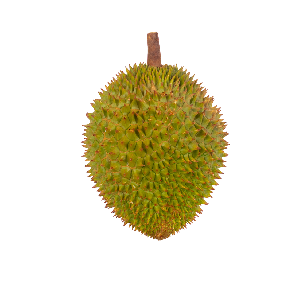 Mini Durian