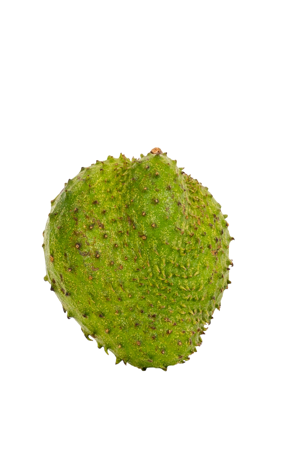 Corossol sauvage de Colombie