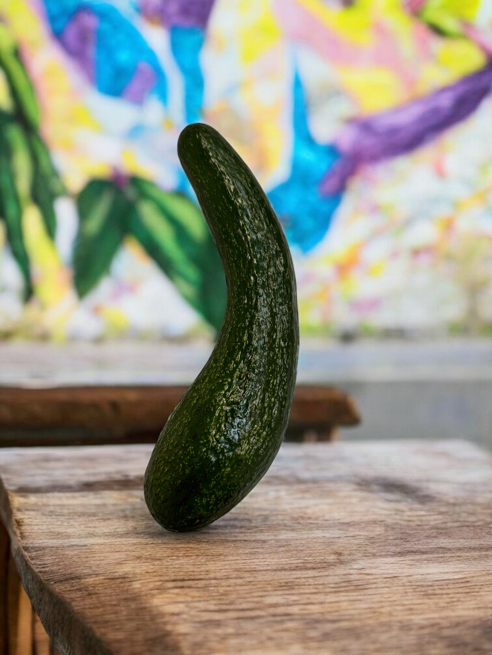 Avocat long du Vietnam 2 kg