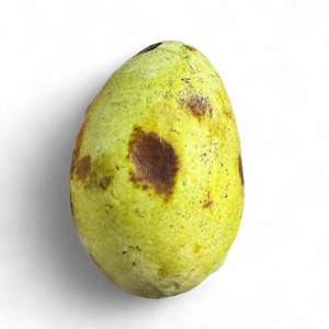Pawpaw