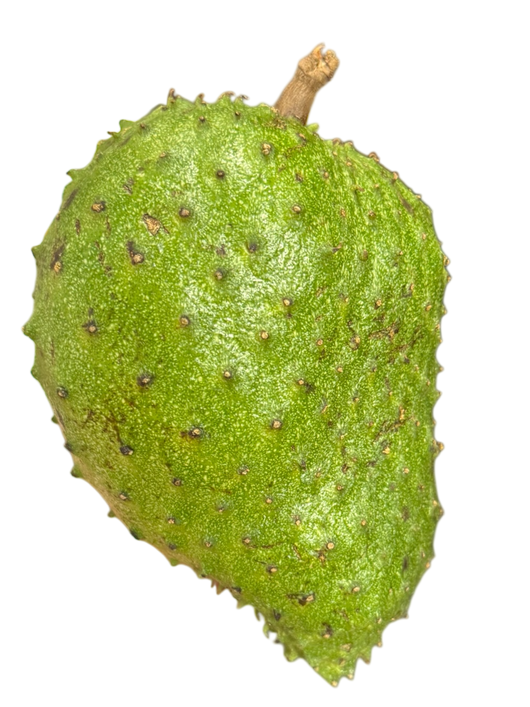 Corossol de Guadeloupe, gros fruit à la peau verte hérissée de pointes souples