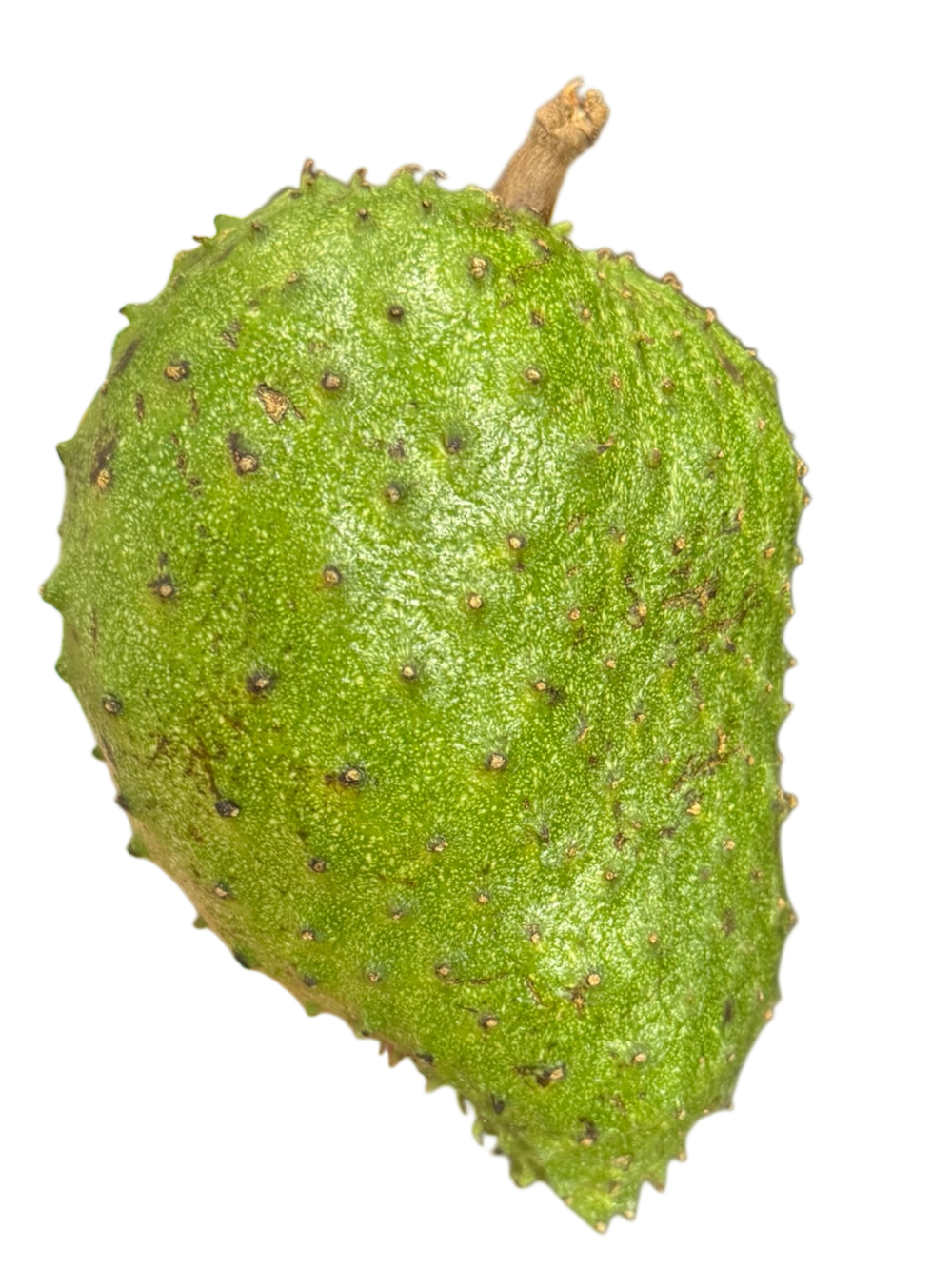 Corossol de Guadeloupe, gros fruit à la peau verte hérissée de pointes souples