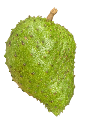 Corossol de Guadeloupe, gros fruit à la peau verte hérissée de pointes souples