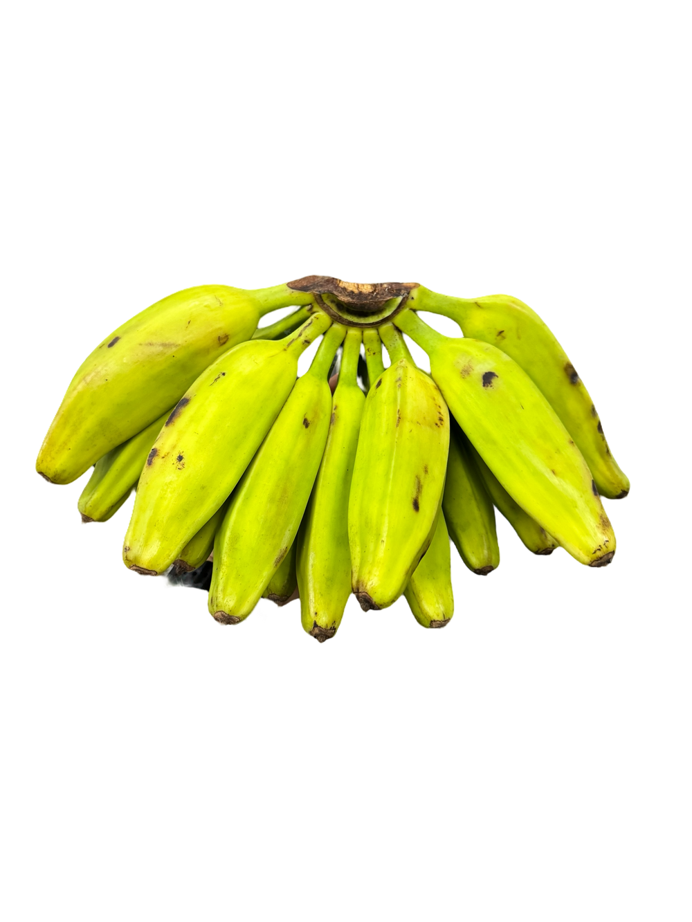 Banane Buro