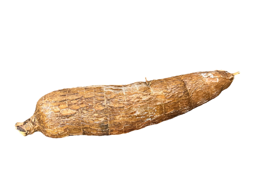 Manioc