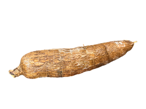 Manioc