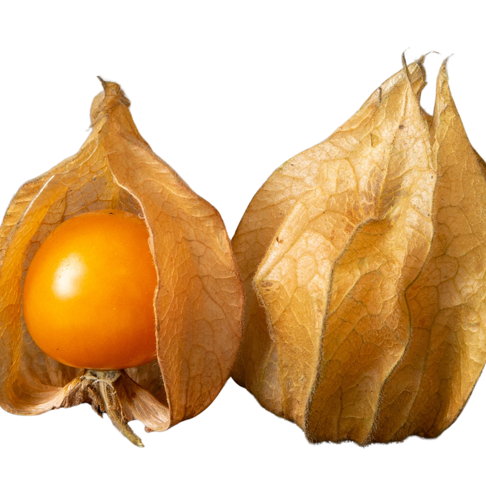 Physalis 100 gr