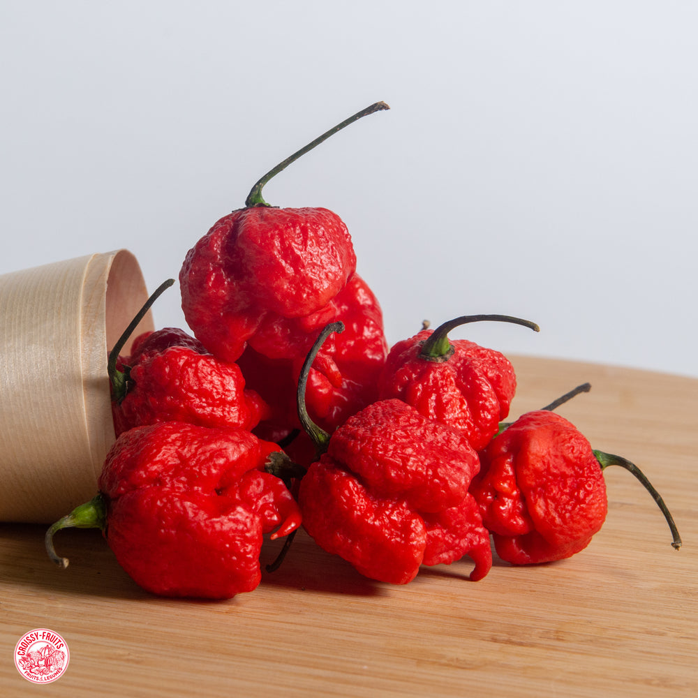 piment frais carolina reaper 50g