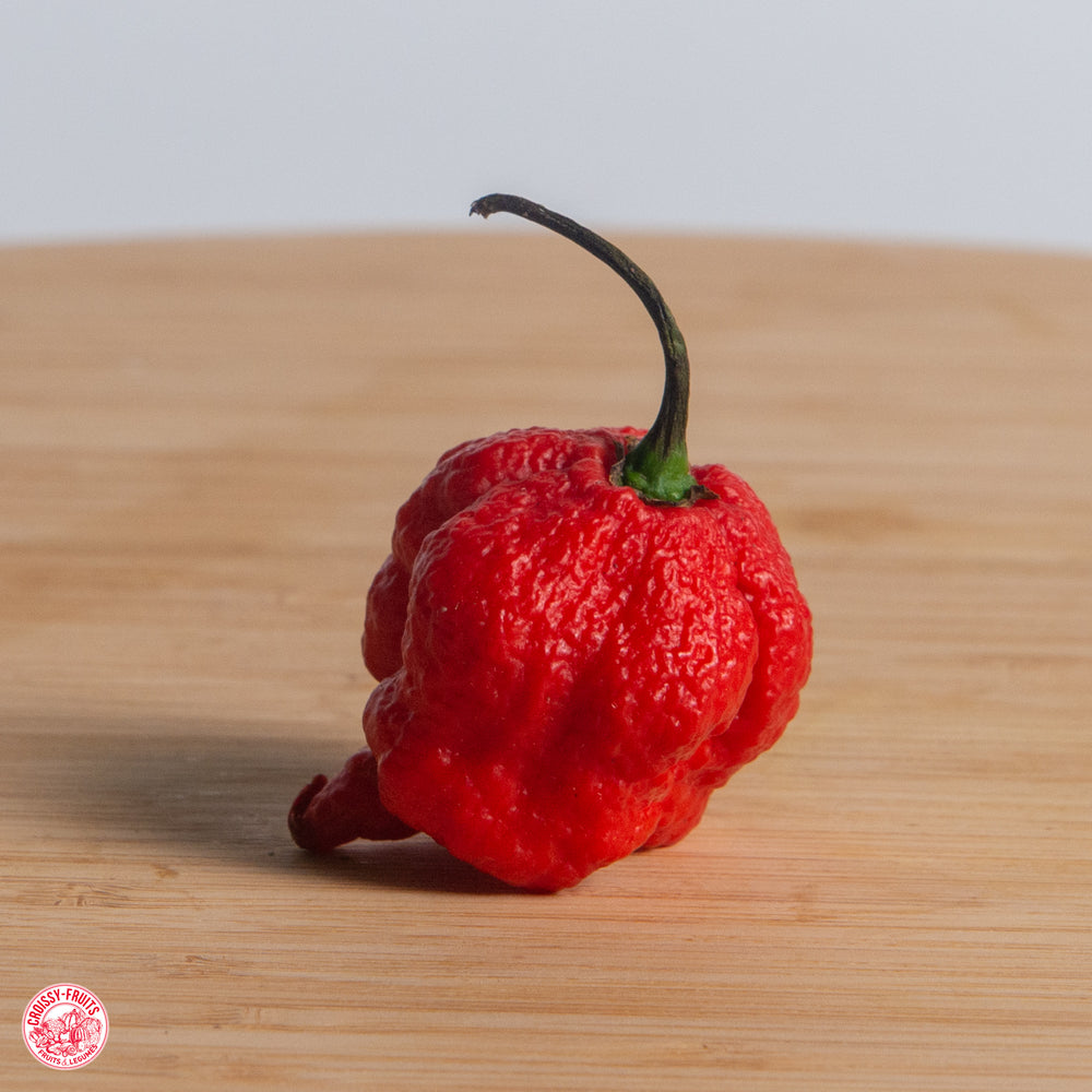 piment frais carolina reaper 50g