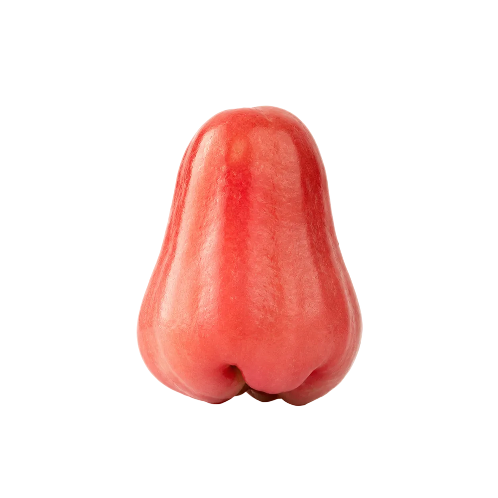 Pomme d'Eau – Pomarrosa d'Indonésie (Syzygium malaccense)