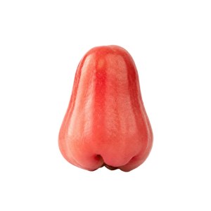 Pomme d'Eau – Pomarrosa d'Indonésie (Syzygium malaccense)