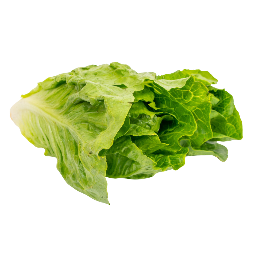 Coeur de romaine