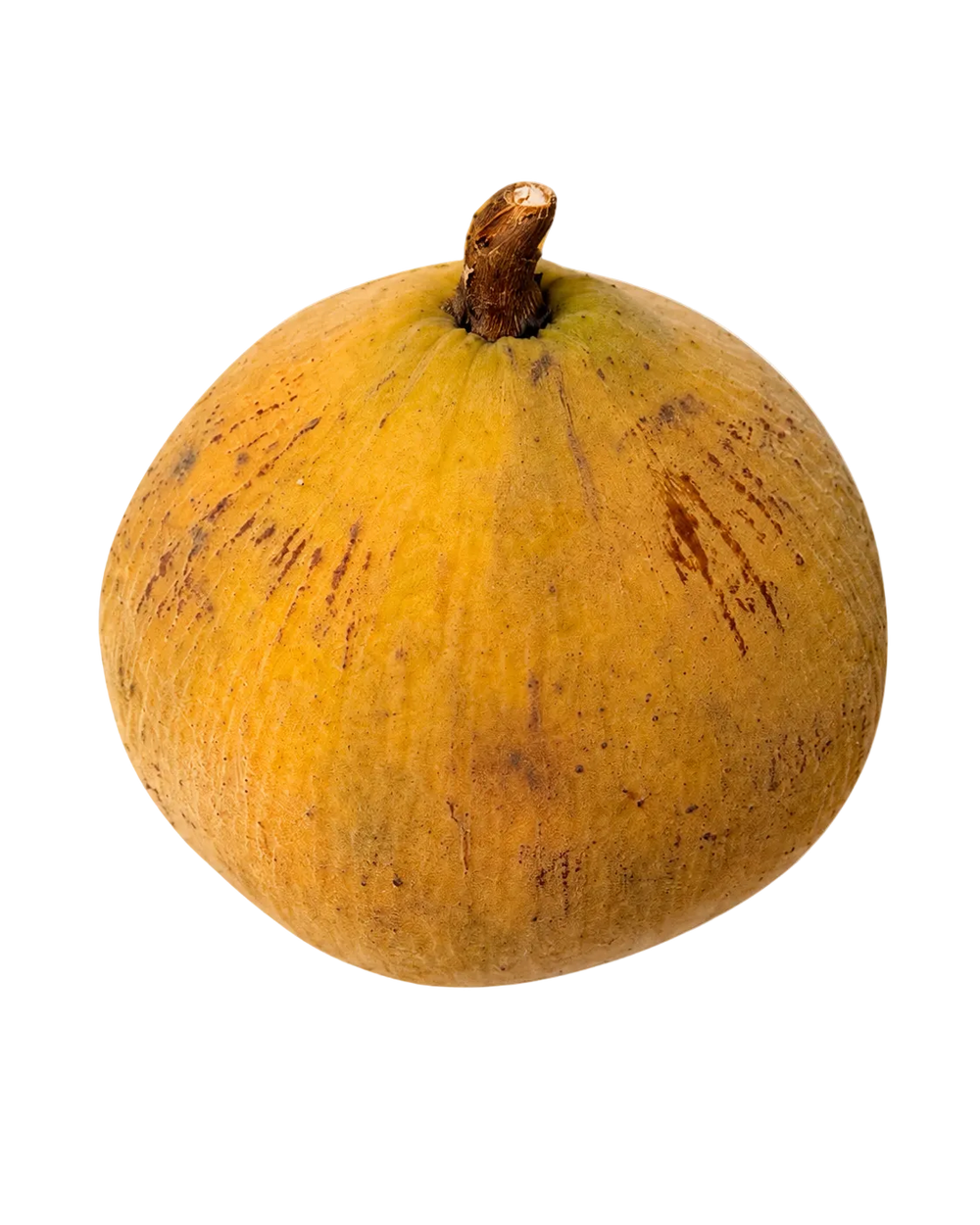 Santol Frais