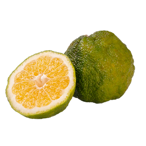 Ugli de Jamaïque