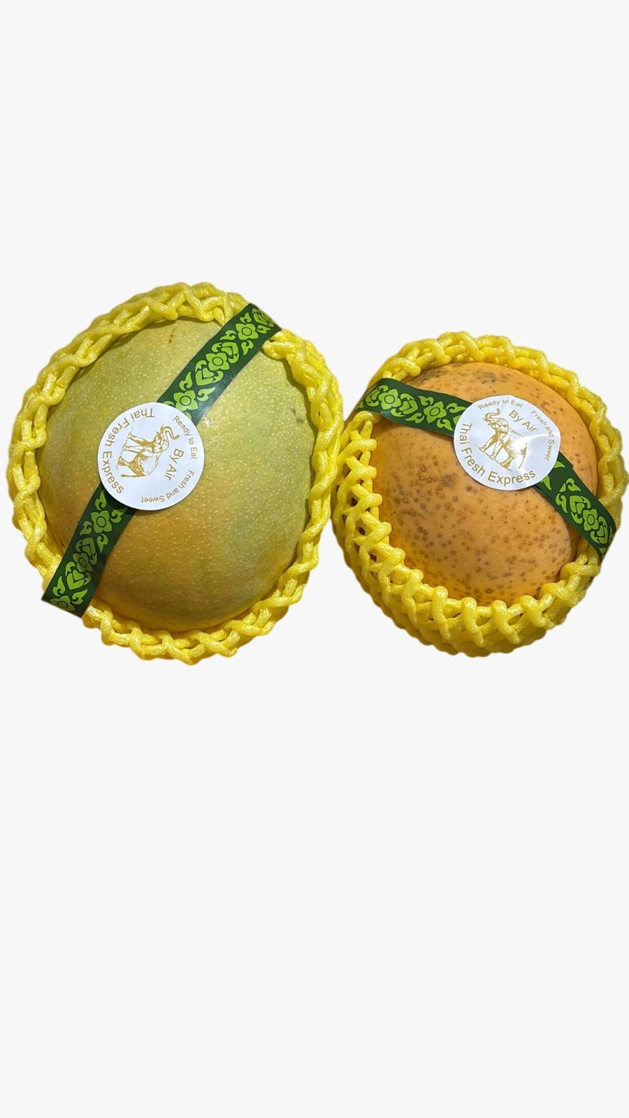 Mangue R2E2