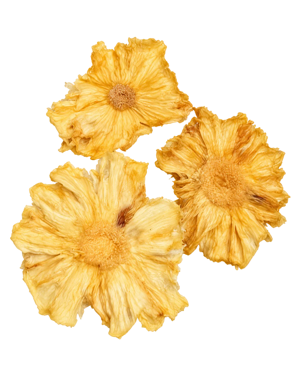 Lamelles fines d'ananas Victoria déshydraté de l'Île de La Réunion, sans sucre ajouté, sachet de 200 g – Croissy Fruits