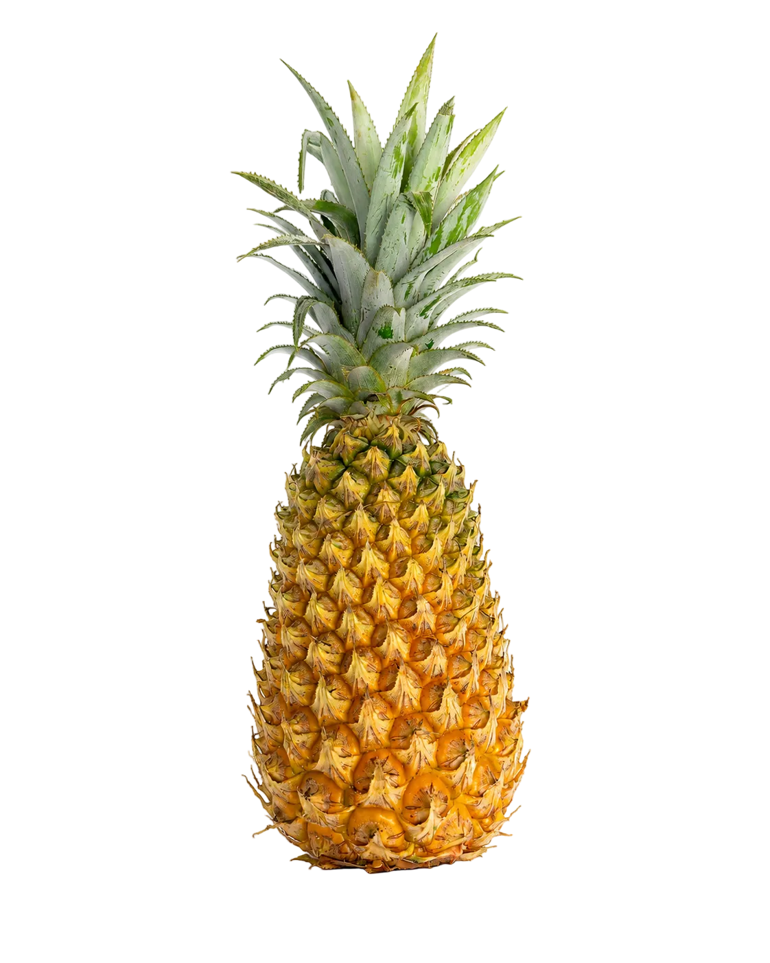 Ananas Victoria de Guadeloupe, petit ananas péyi à chair jaune-or