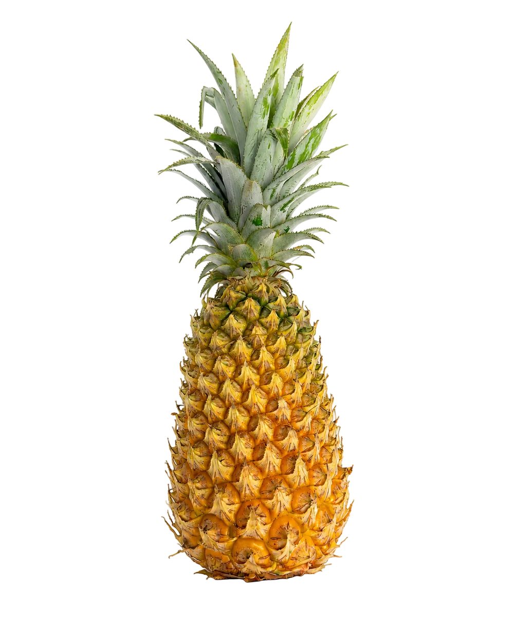 Ananas Victoria de Guadeloupe, petit ananas péyi à chair jaune-or très sucrée
