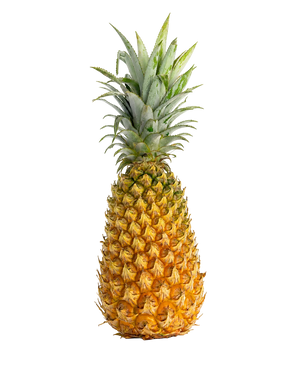 Ananas Victoria de Guadeloupe, petit ananas péyi à chair jaune-or très sucrée