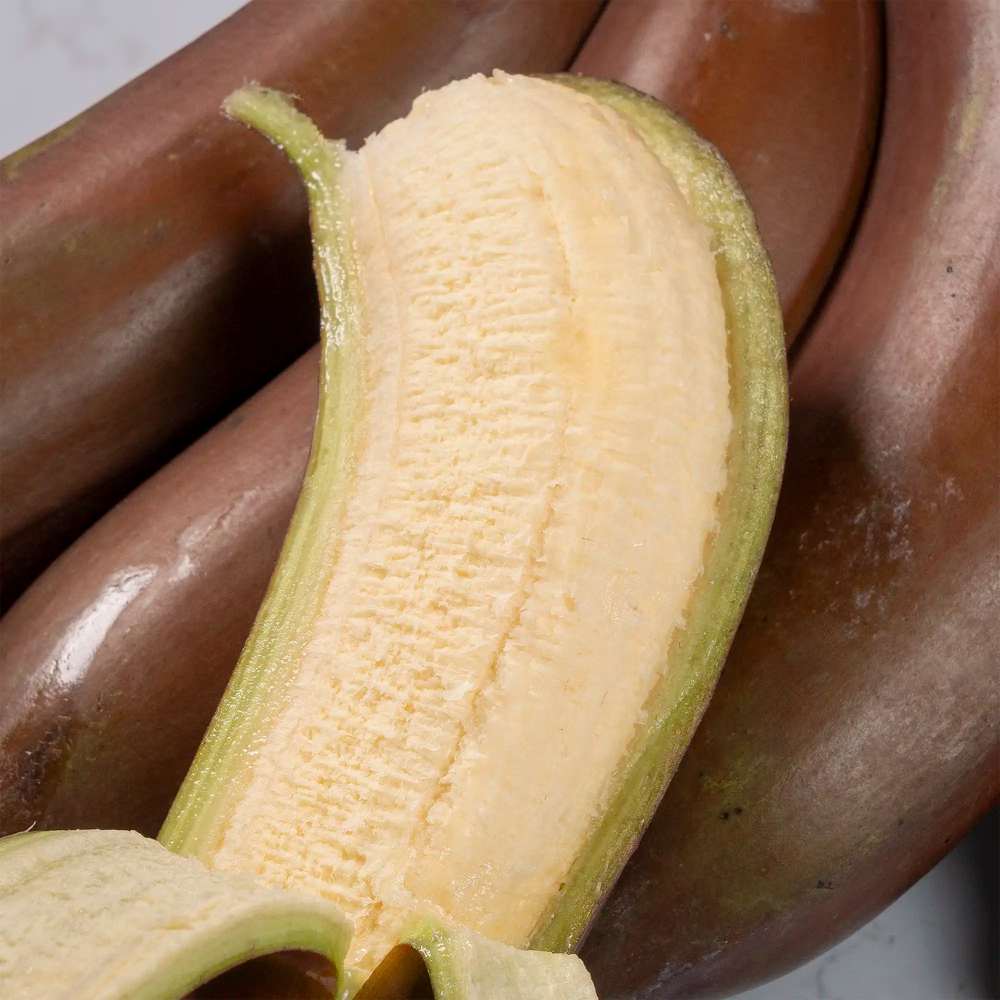 Banane Rose